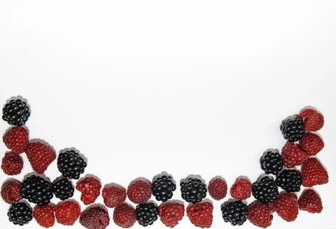 RASPBERRY AND BLACKBERRY on a white background with space for the text Stock Photos