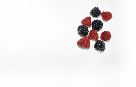 RASPBERRY AND BLACKBERRY on a white background with space for the text Stock Photos