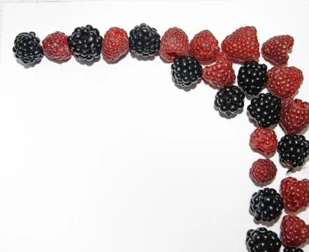 RASPBERRY AND BLACKBERRY on a white background with space for the text Stock Photos