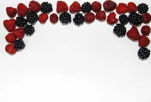 RASPBERRY AND BLACKBERRY on a white background with space for the text Stock Photos