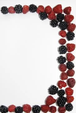 RASPBERRY AND BLACKBERRY on a white background with space for the text Stock Photos