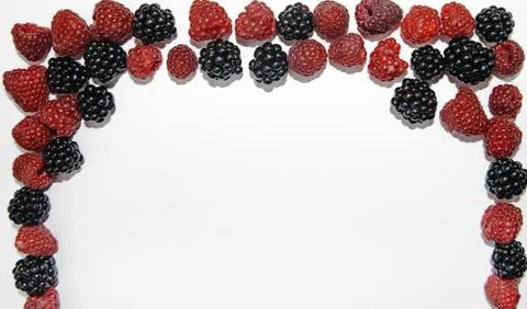 RASPBERRY AND BLACKBERRY on a white background with space for the text Stock Photos