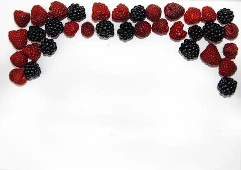 RASPBERRY AND BLACKBERRY on a white background with space for the text Stock Photos