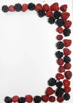 RASPBERRY AND BLACKBERRY on a white background with space for the text Stock Photos