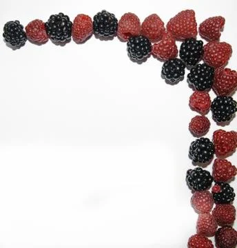 RASPBERRY AND BLACKBERRY on a white background with space for the text Stock Photos