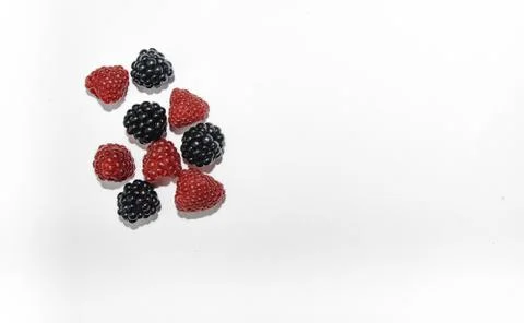 RASPBERRY AND BLACKBERRY on a white background with space for the text Stock Photos