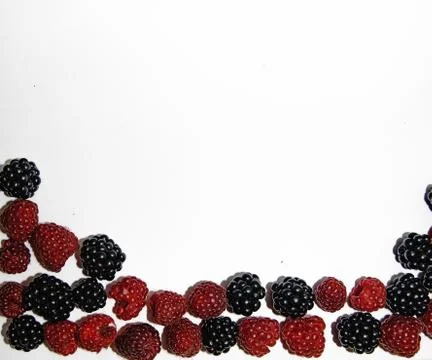 RASPBERRY AND BLACKBERRY on a white background with space for the text Stock Photos
