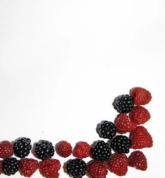 RASPBERRY AND BLACKBERRY on a white background with space for the text Stock Photos