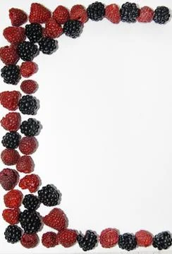 RASPBERRY AND BLACKBERRY on a white background with space for the text Stock Photos