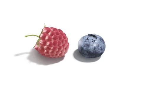 Raspberry and blueberry berries mockup, side view Stock Illustration