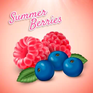 Raspberry and blueberry Stock Illustration