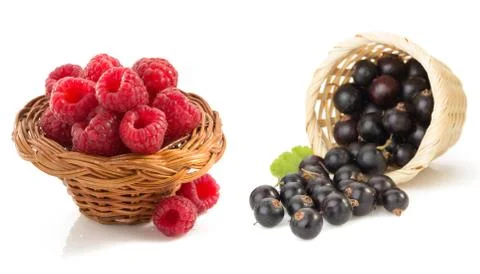 Raspberry and currants  on white background Stock Photos