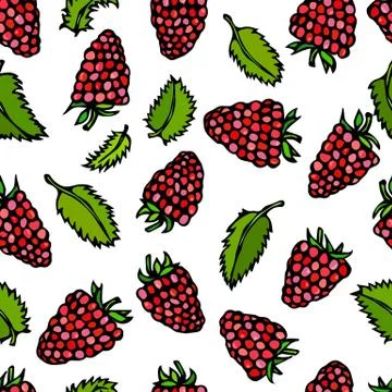 Raspberry and Mint Leaves Doodle Style Vector Sketch, Isolated on White Stock Illustration