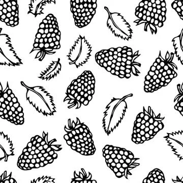 Raspberry and Mint Leaves Doodle Style Vector Sketch, Isolated on White Stock Illustration