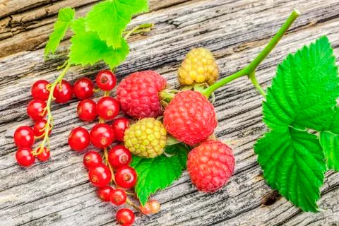 Raspberry and red currant with leaves on  a old wood Foto stock