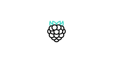 Raspberry Animated Icon Stock Footage 320344302