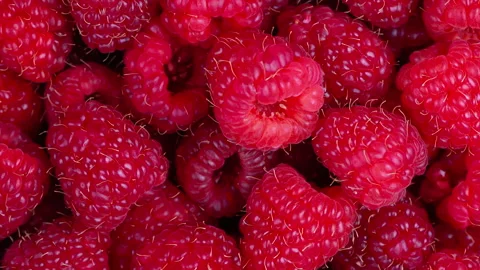 Raspberry background. Fresh red berries Stock Footage 259826100