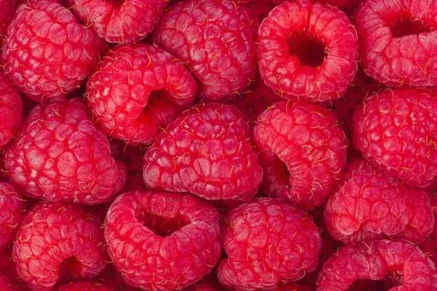 Raspberry background Heap od Raspberry - food background Copyright: xZoona... Stock Photos