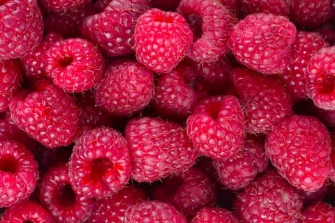 Raspberry background Stock Photos