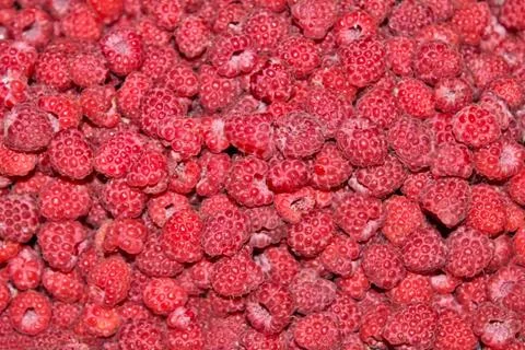 Raspberry background Stock Photos