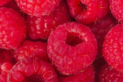 Raspberry background Stock Photos