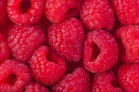Raspberry background Foto stock