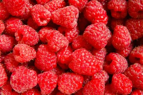 Raspberry background Stock Photos
