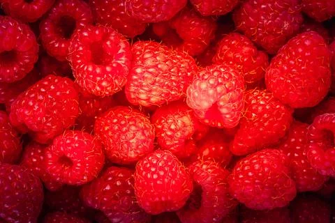 Raspberry background Foto stock