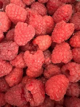 Raspberry background Stock Photos
