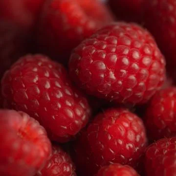 Raspberry background square composition red soft and juicy Stock Photos