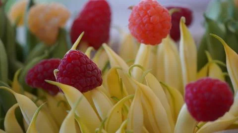 Raspberry beans Stock Photos
