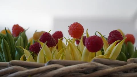 Raspberry beans Stock Photos