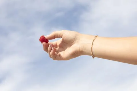 Raspberry being held by a female hand enjoying her healthy vegan lifestyle 写真素材