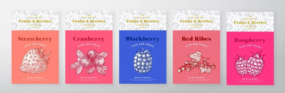 Raspberry Berries and Fruit Pattern Label Templates Set. Vector Packaging Design Stock Illustration