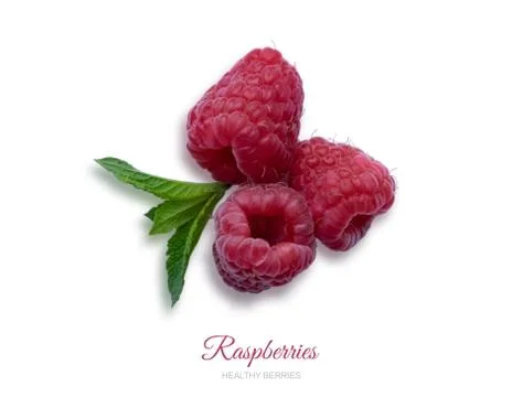 Raspberry berries and mint leaf isolated on white background. Healthy berries Stock Photos