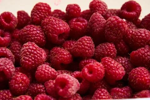 Raspberry berries close-up, red background, natural berry food Stock Photos