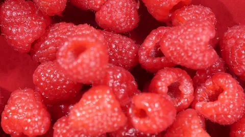 Raspberry berries falling on a red background. Stock Footage 309034365