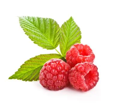 Raspberry berries on isolated white background Stock Photos