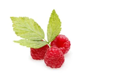 Raspberry berries isolated on white Stock Photos