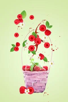Raspberry berries levitating on a green background. Selective focus. Raspberr Foto stock