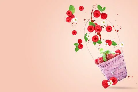 Raspberry berries levitating on a pink background. Selective focus. Raspberry Stock Photos