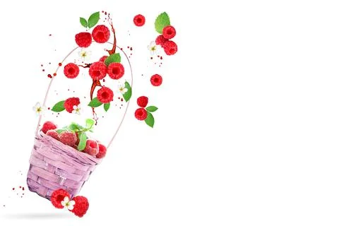 Raspberry berries levitating on a white background. Isolated object on a whit Foto stock