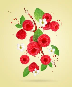 Raspberry berries levitating on a yellow background. Selective focus. Raspber Foto stock