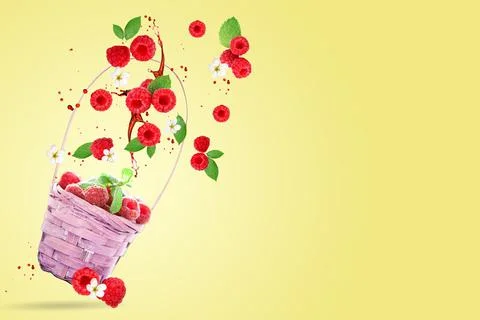 Raspberry berries levitating on a yellow background. Selective focus. Raspber Foto stock