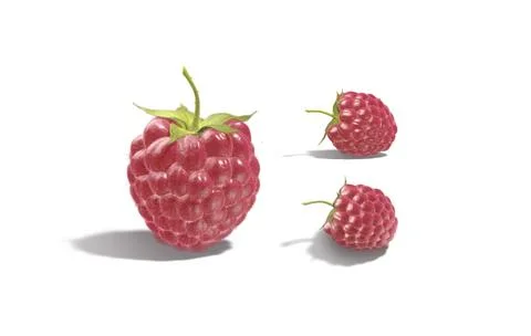 Raspberry berries mockup, different views, depth of field Illustrazione stock