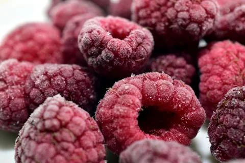 Raspberry berries preserved by freezing. Stock Photos