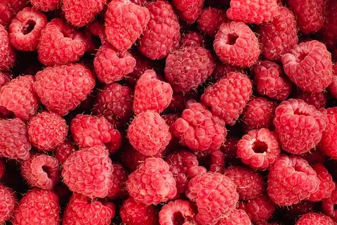 Raspberry berries, top view. Stock Photos