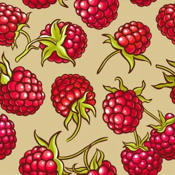 Raspberry berries vector pattern Stock Illustration