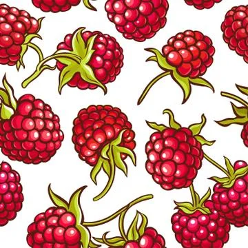 Raspberry berries vector pattern Illustrazione stock