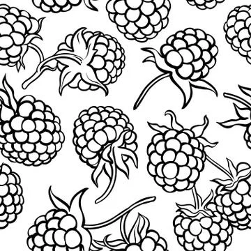 Raspberry berries vector pattern Stockillustratie